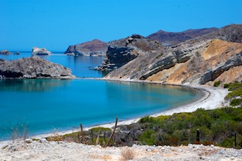Cruise Mexico and the Sea of Cortez with us Sea of Cortez life in a boat