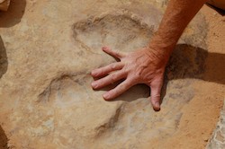 RV full-time and see dinosaur tracks as we RV America How to RV in Utah