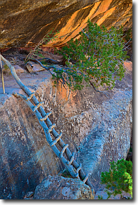 A wwoden ladder on the Sipapu Bridge trail.