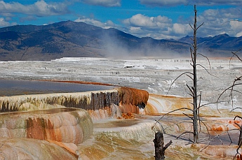 Mammoth Hot Springs, Yellowstone National Park, Wyoming where we stayed in a wonderful campground.