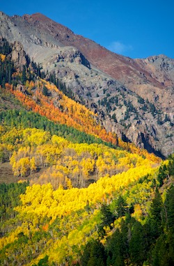 Telluride Colorado Autumn Colors Last Dollar Road Dallas Divide San Juan Mountains