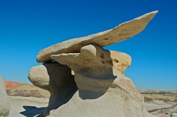 Bisti Badlands New Mexico Wings