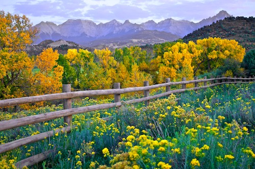 Dallas Divide Colorado between Ridgway and Telluride Fall Foliage Colors in the San Juan mountains