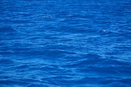 blue water of acapulco sailing blog