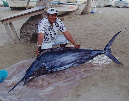 09 Mexico cruising blog Zihuatanejo marlin fisherman fish market 405