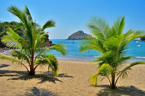 Palm trees on Playa Rosa Careyes