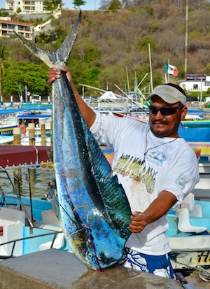 Catch of the day - Huatulco