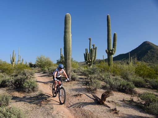 Mountain biking gal with cactus