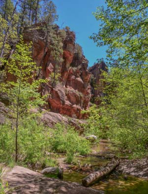 Red rocks in Oak Creek Canyon Arizona