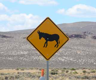 burro road sign Nevada