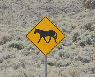 trotting horse road sign Nevada