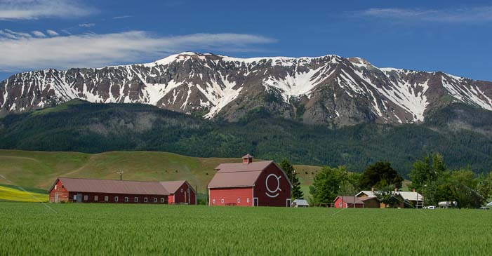 Red barns and Wallowa mountains in Joseph Oregon