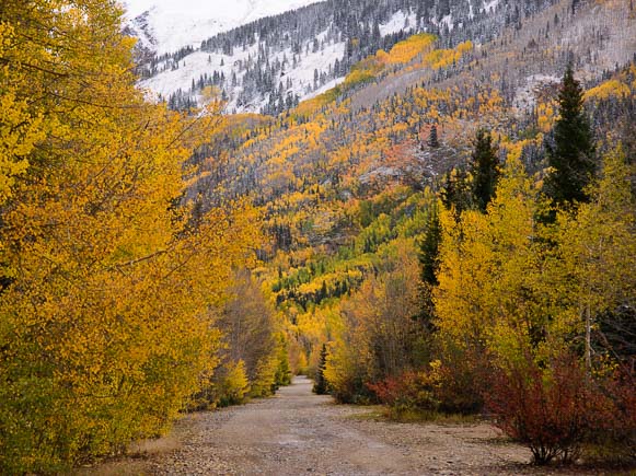 Golden path near Ridgway Colorado