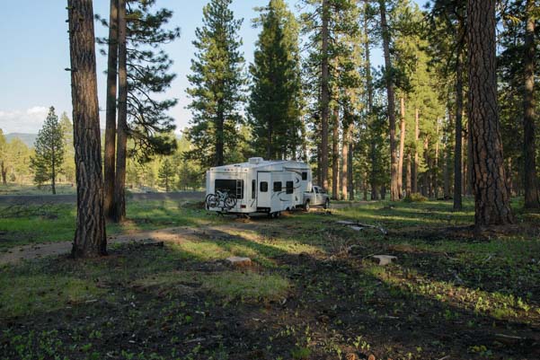 RV camping in the Oregon woods