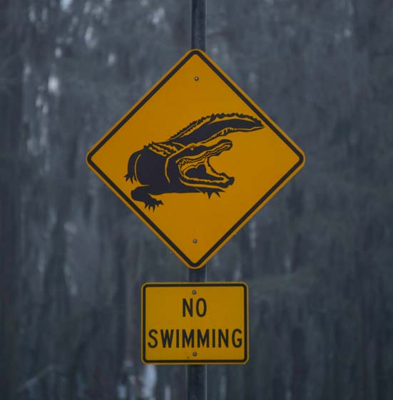 Alligator sign