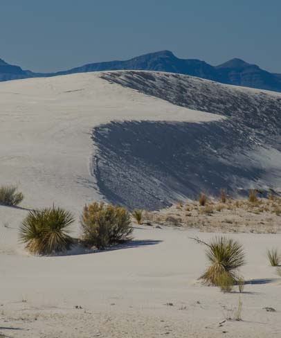 Curving dunes in the sand in New Mexico