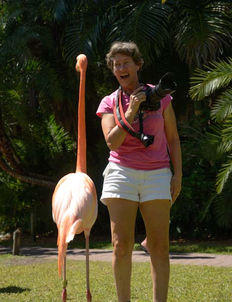 Flamingo with me at Jungle Gardens Sarasota Florida