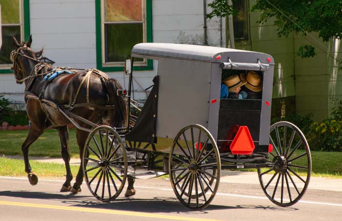 Amish horse and carriage Finger Lakes New York