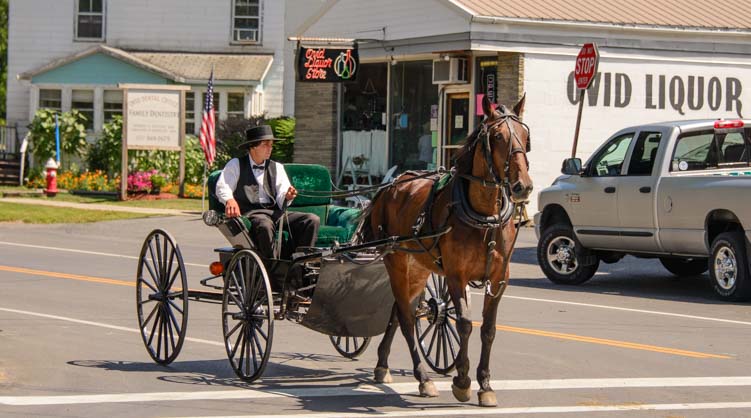 Amish open horse and carriage Ovid New York