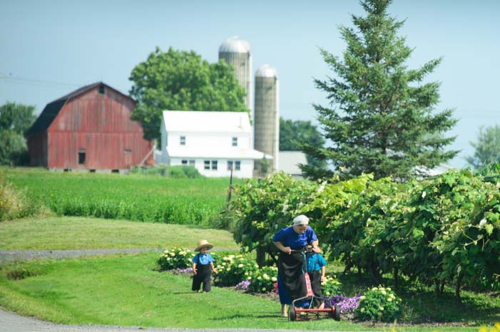 Mowing the lawn in Amish country