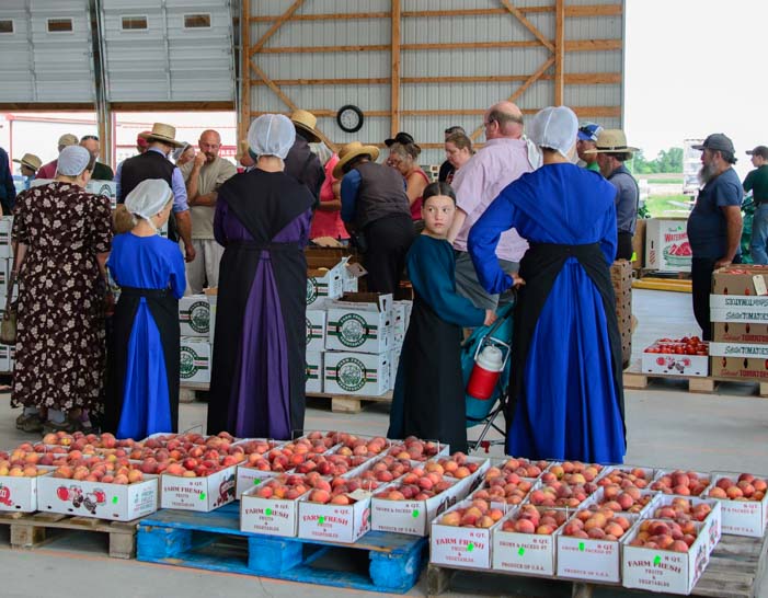 Amish farmers Finger Lakes produce auction