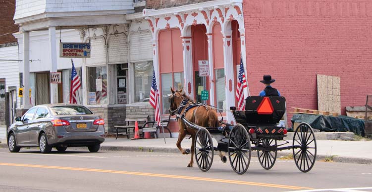Amish horse and buggy in Ovid New York
