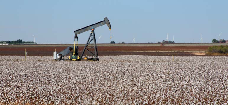 Cotton growing and oil drilling in New Mexico