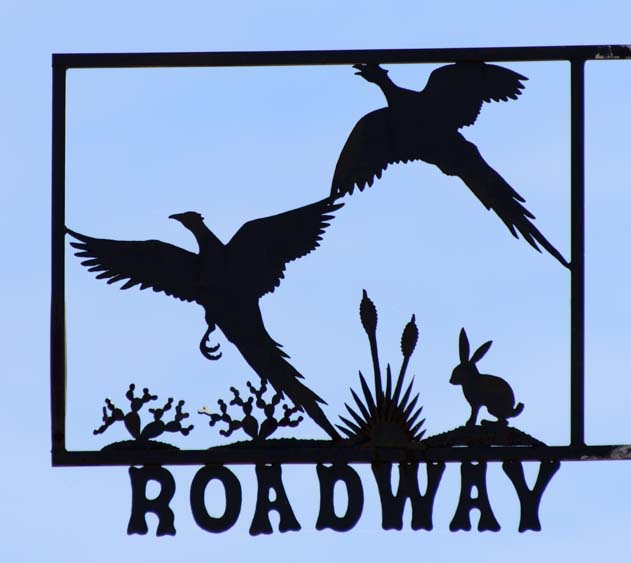 Birds flying metal art street sign Tatum New Mexico