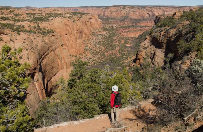 Navajo National Monument canyon view