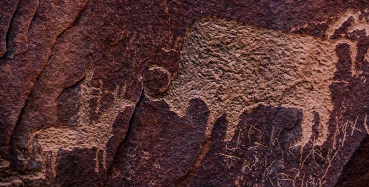Newspaper Rock Art petroglyph Utah horseback hunter and bison