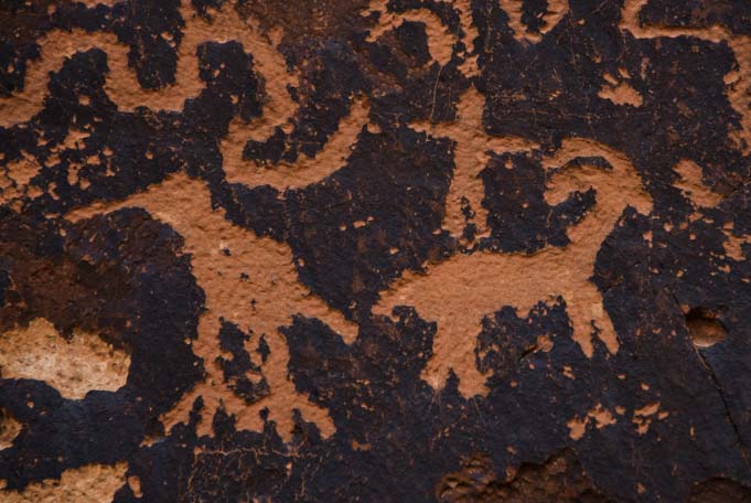 Bird petroglyphs Newspaper Rock Utah