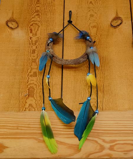 Dreamcatcher art made from Macaw feathers