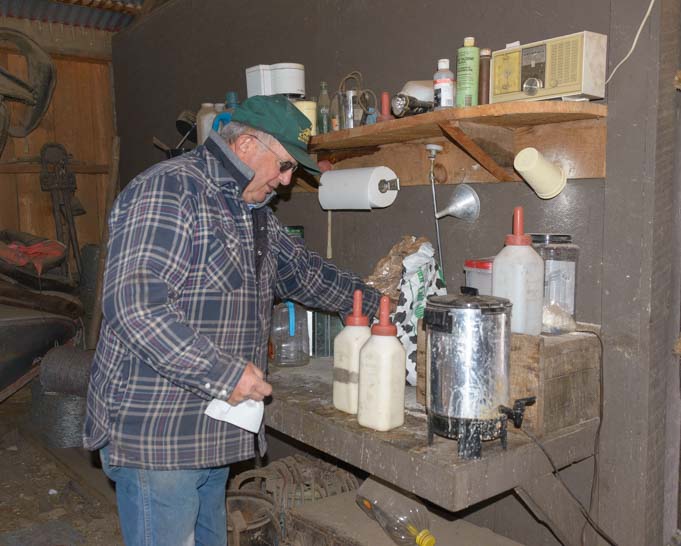 Preparing to bottle feed calves on a Montana ranch