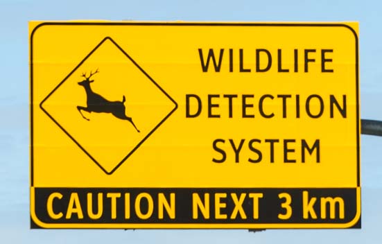 Wildlife Detection System road sign Kootenay National Park Canada