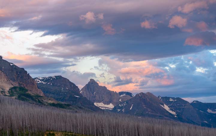 Sunrise over dead trees Glacier National Park Montana