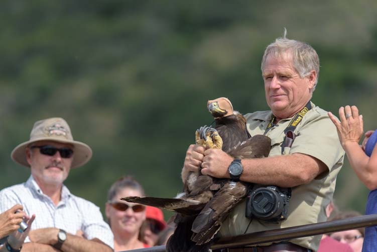 Martin Tyner master falconer releases rehabilitated eagle from mountain in Cedar City Utah