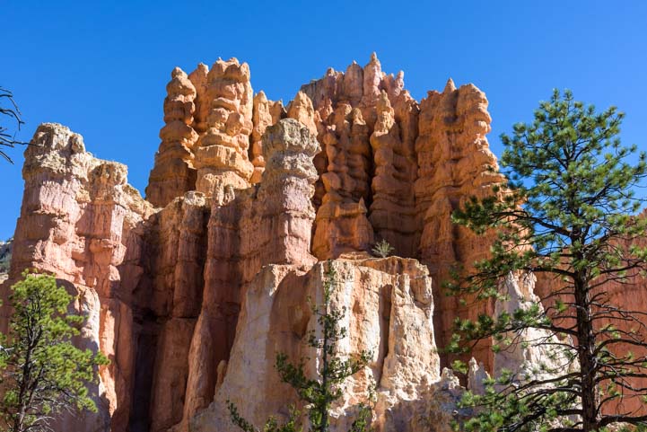Hoodoos and trees Fairyland Point Bryce Canyon National Park Utah