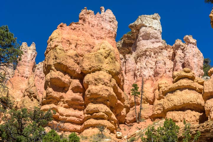 Pink orange hoodoos Fairyland Point Bryce Canyon National Park Utah