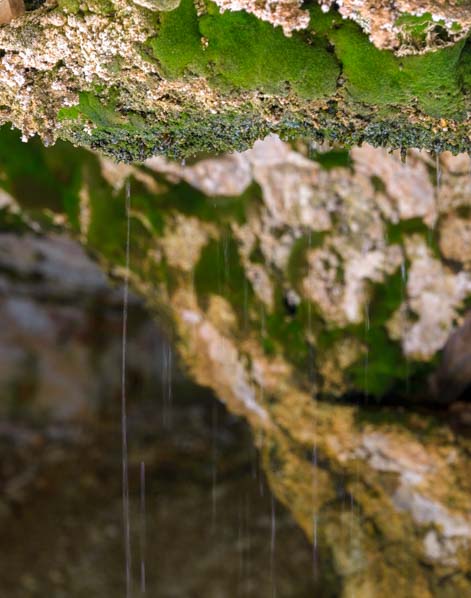 Water seeps through rock and drips down moss in Mossy Cave Bryce Canyon National Park Utah