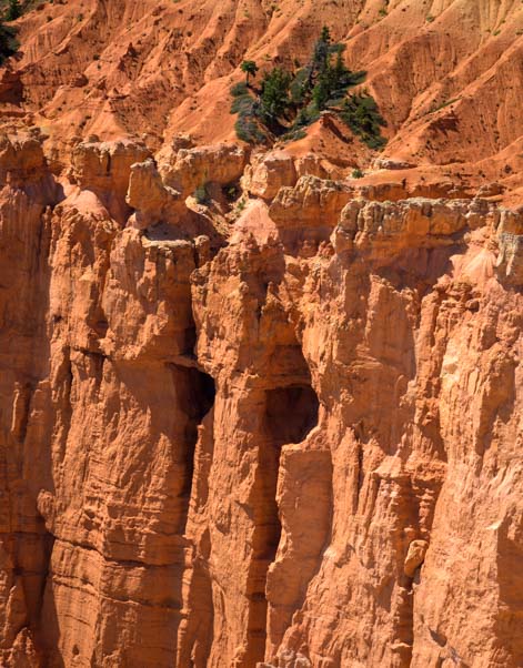 Alice Cooper eyes at Rainbow Point Bryce Canyon National Park Utah