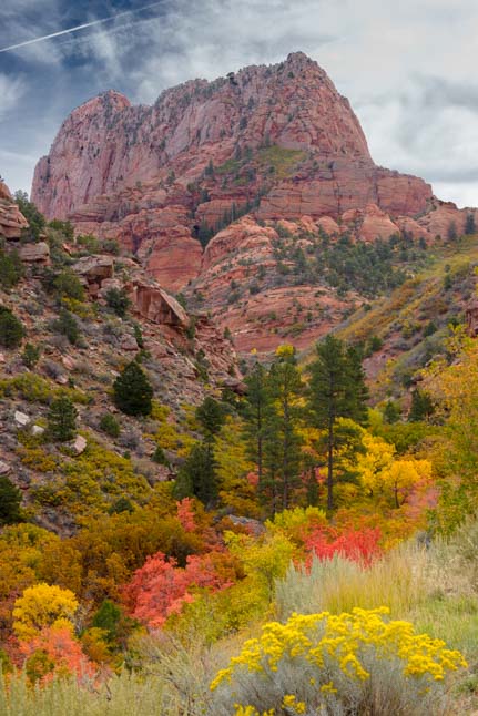 Autumn Foliage Taylor Creek Trail Kolob Canyons Zion National Park Utah