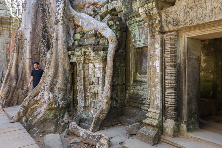 Tree and roots engulf ruins at Ta Prohm Angkor Siem Reap Cambodia