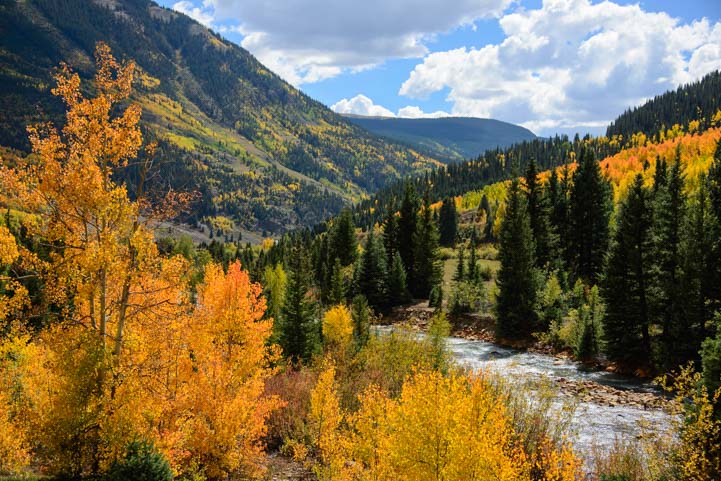 Fall Foliage in Silverton Colorado