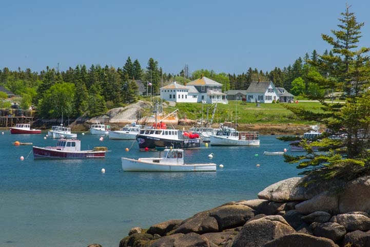 Downeast Maine Harbor