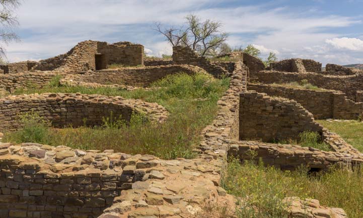Overgrown walls at Aztec Ruins National Monument New Mexico