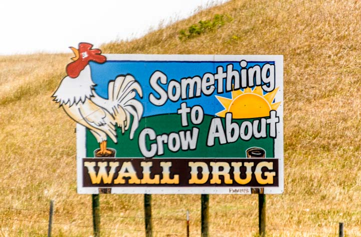 Something to Crow About at Wall Drug Badlands South Dakota