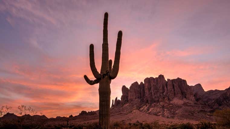 Saguaro cactus Lost Dutchman State Park Superstition Mountains sunset-min