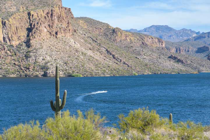 Canyon Lake Arizona speedboat and cactus-min