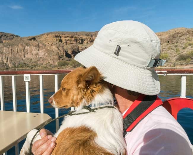 Puppy on Dolly Steamboat Cruise Canyon Lake Arizona-min