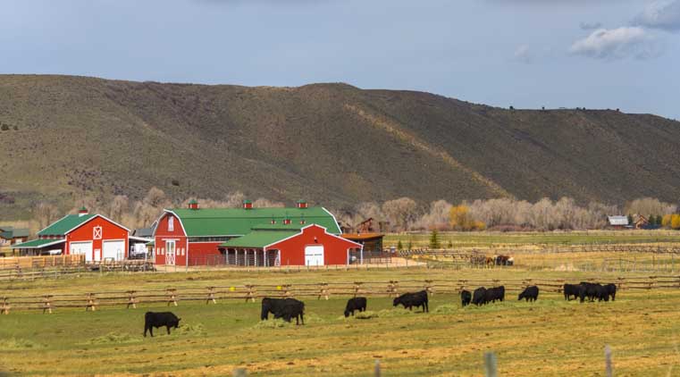 Farm and ranch land in northern Utah-min